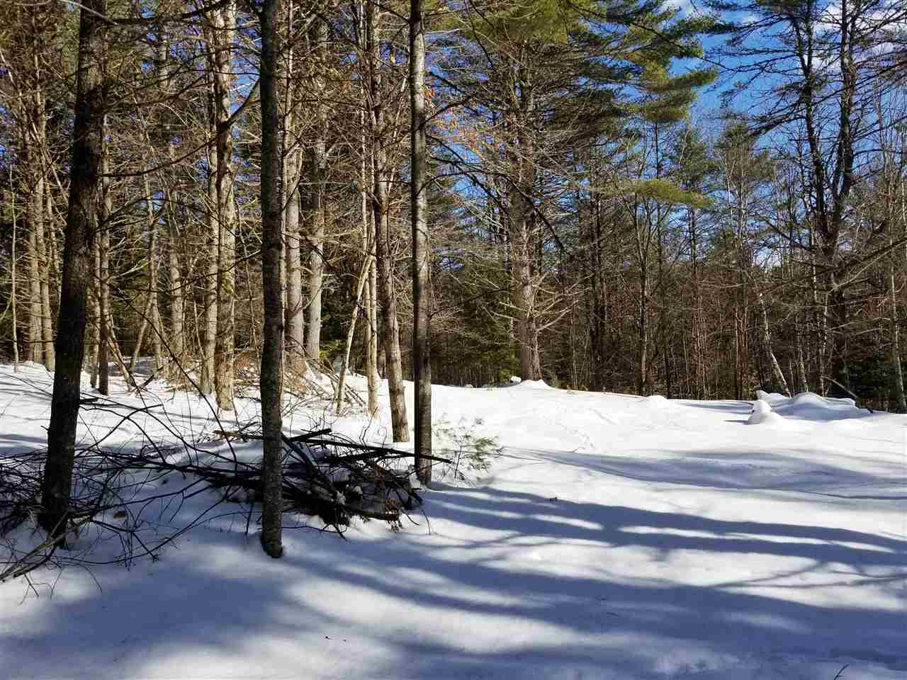 0 Ridge Road, Unit 77 Lyman, NH 03585 - Photo 11 of 28