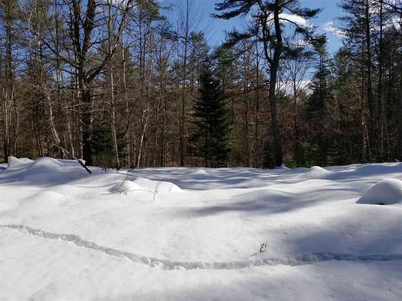 0 Ridge Road, Unit 77 Lyman, NH 03585 - Photo 12 of 28
