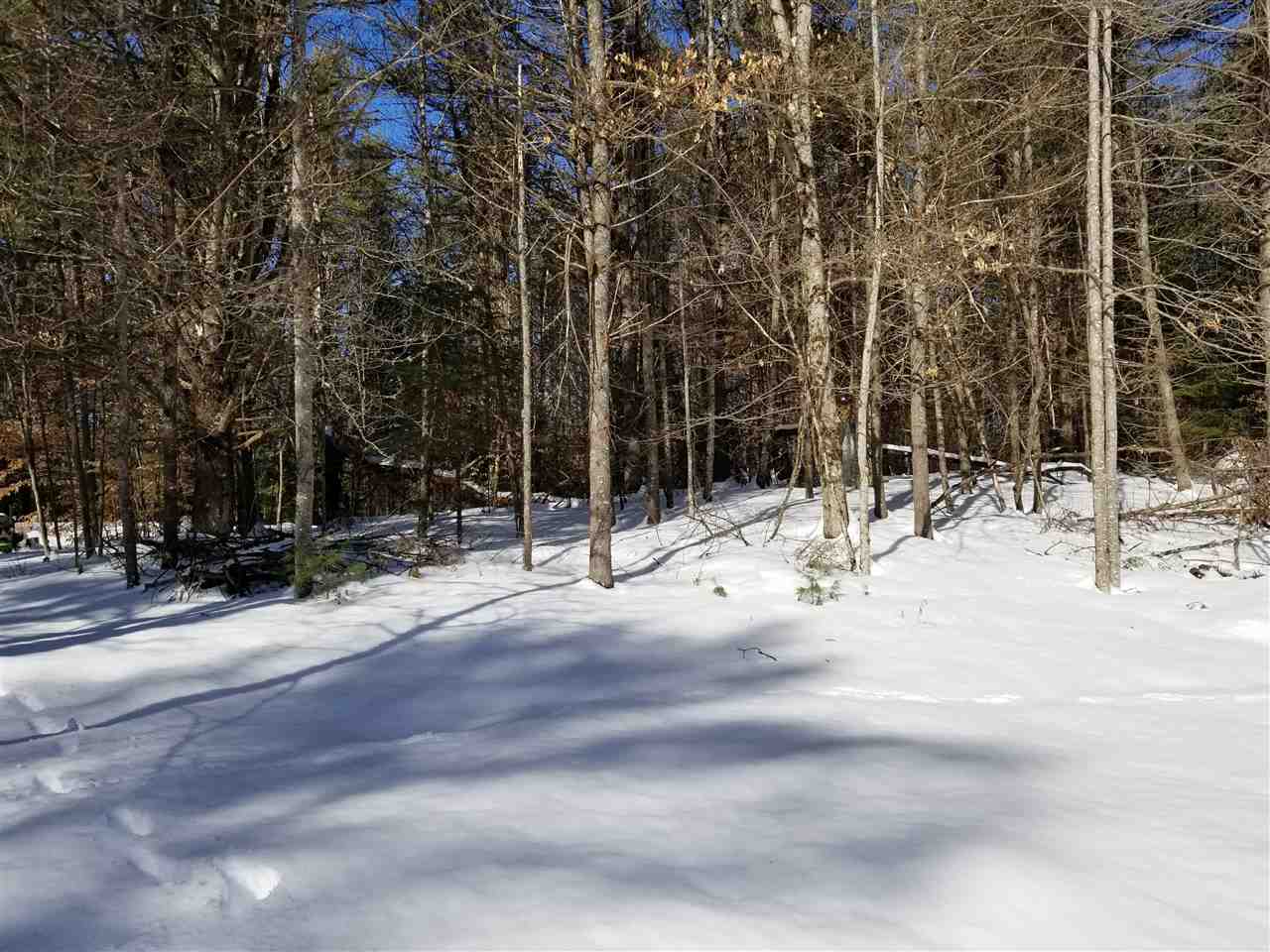 0 Ridge Road, Unit 77 Lyman, NH 03585 - Photo 15 of 28