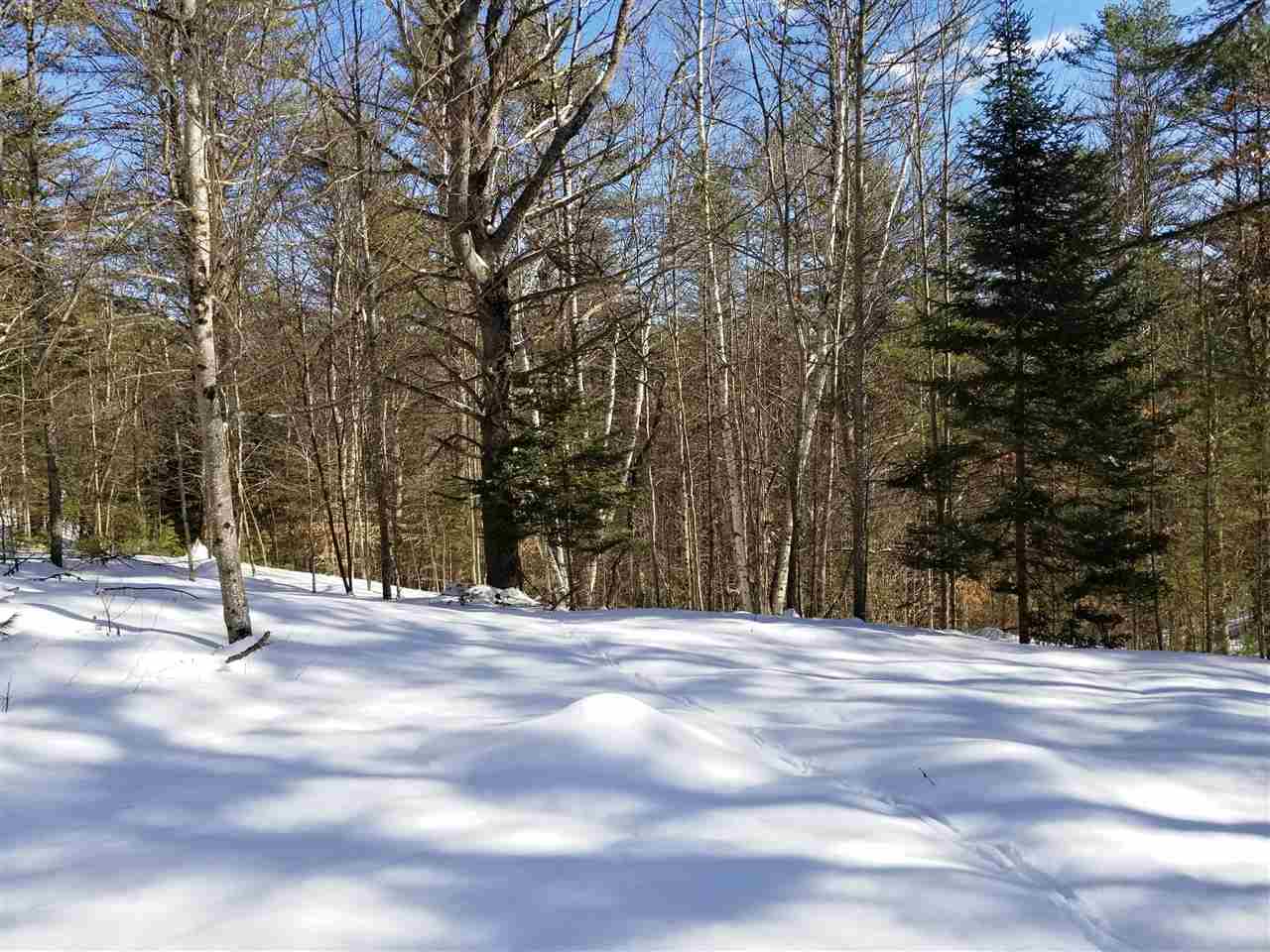 0 Ridge Road, Unit 77 Lyman, NH 03585 - Photo 18 of 28