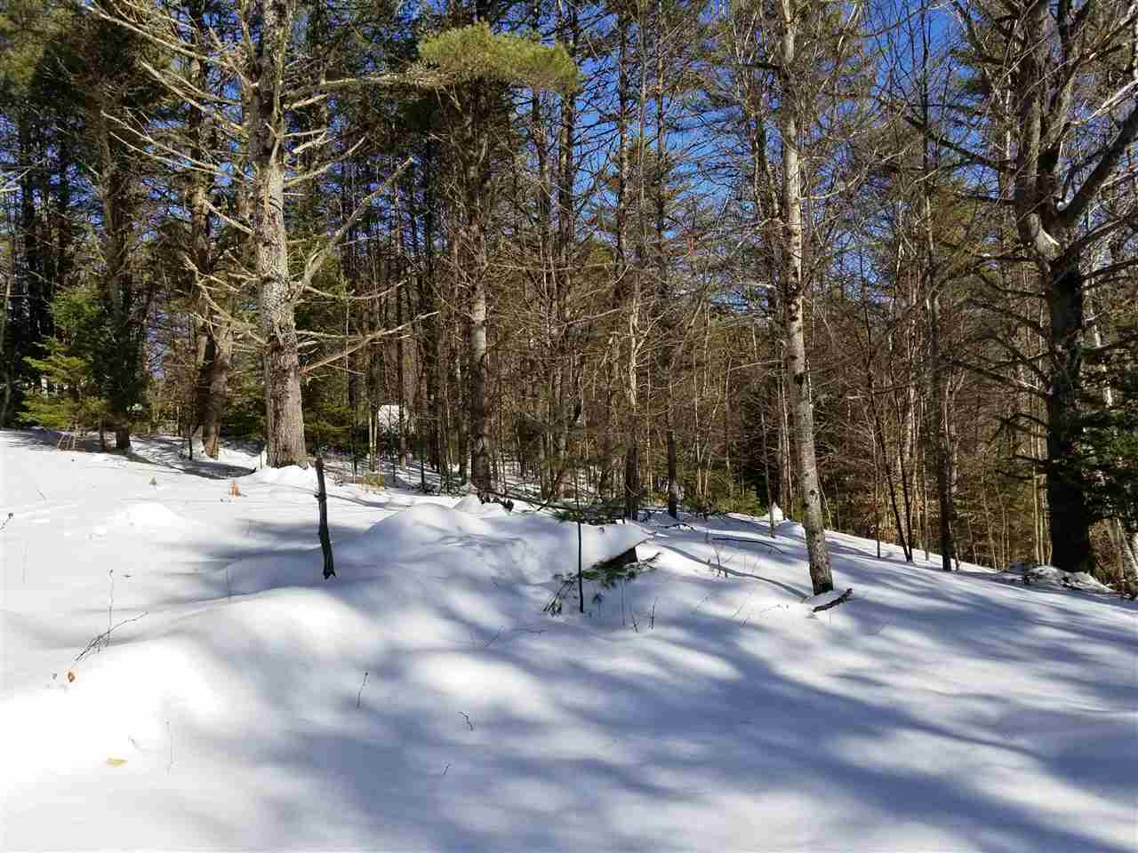 0 Ridge Road, Unit 77 Lyman, NH 03585 - Photo 19 of 28
