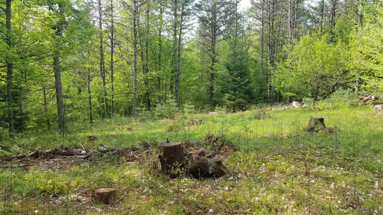 0 Ridge Road, Unit 77 Lyman, NH 03585 - Photo 3 of 28