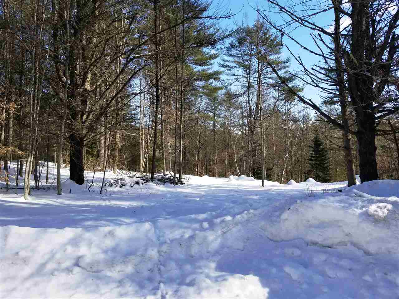 0 Ridge Road, Unit 77 Lyman, NH 03585 - Photo 22 of 28