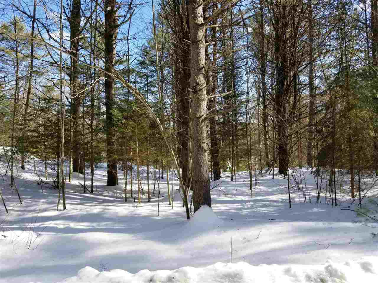 0 Ridge Road, Unit 77 Lyman, NH 03585 - Photo 23 of 28