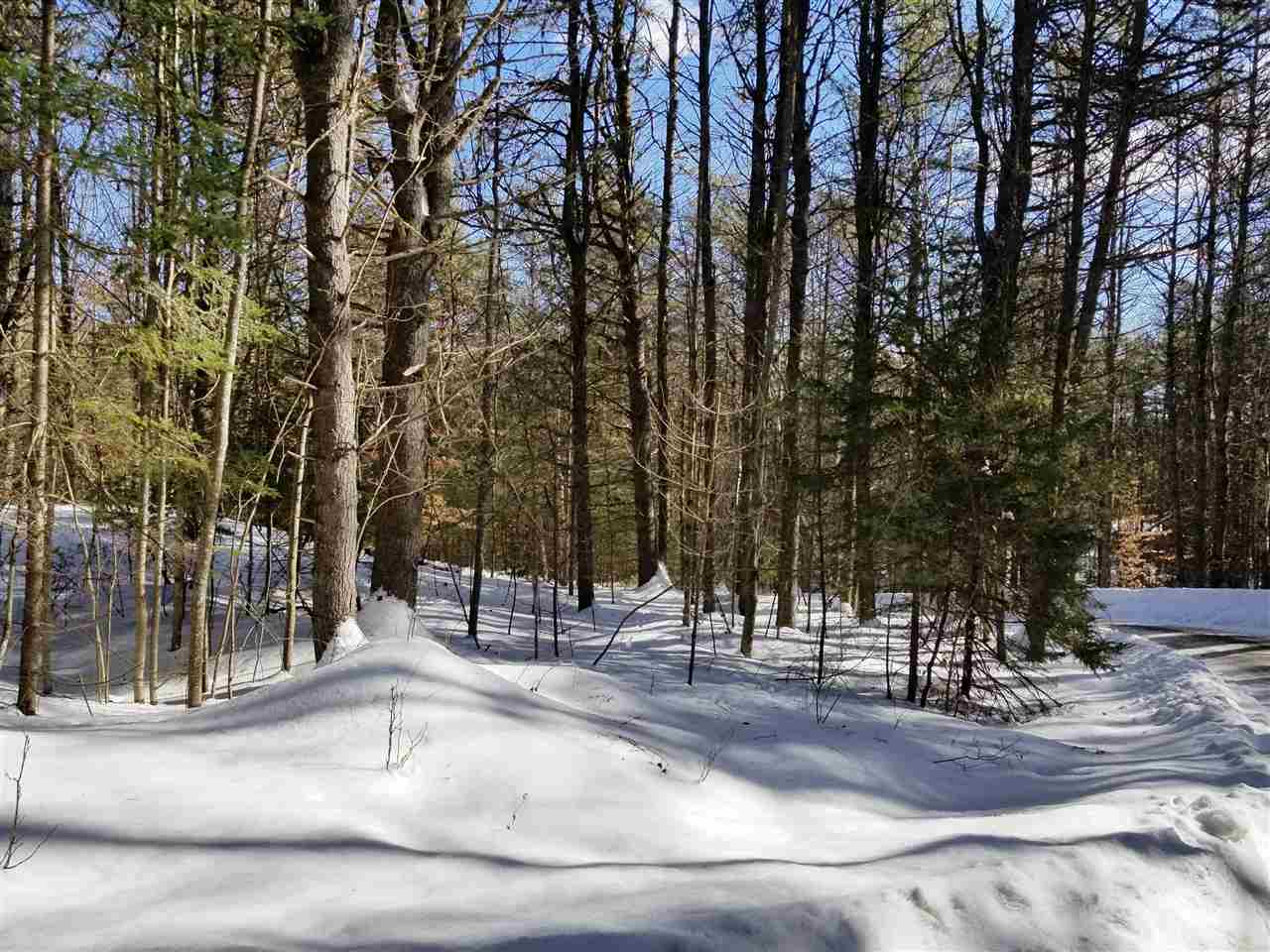 0 Ridge Road, Unit 77 Lyman, NH 03585 - Photo 24 of 28