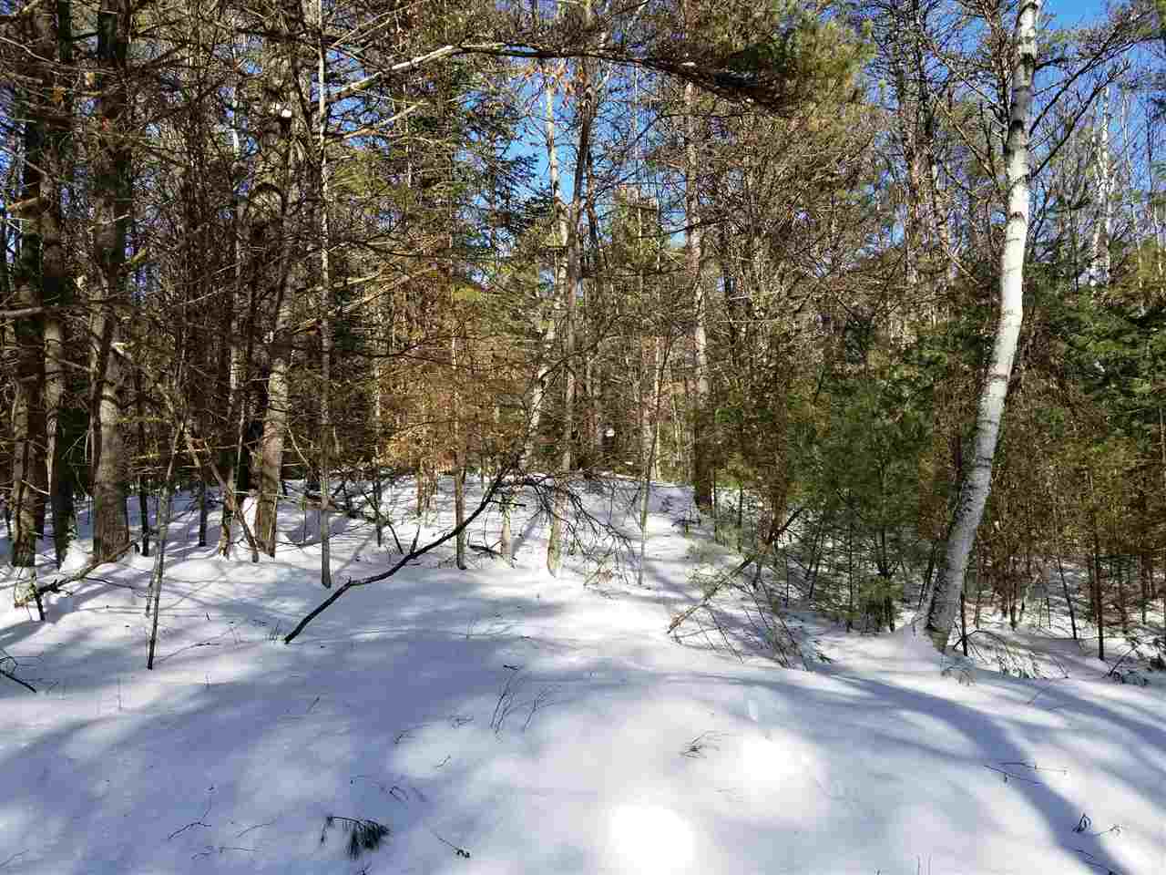 0 Ridge Road, Unit 77 Lyman, NH 03585 - Photo 25 of 28