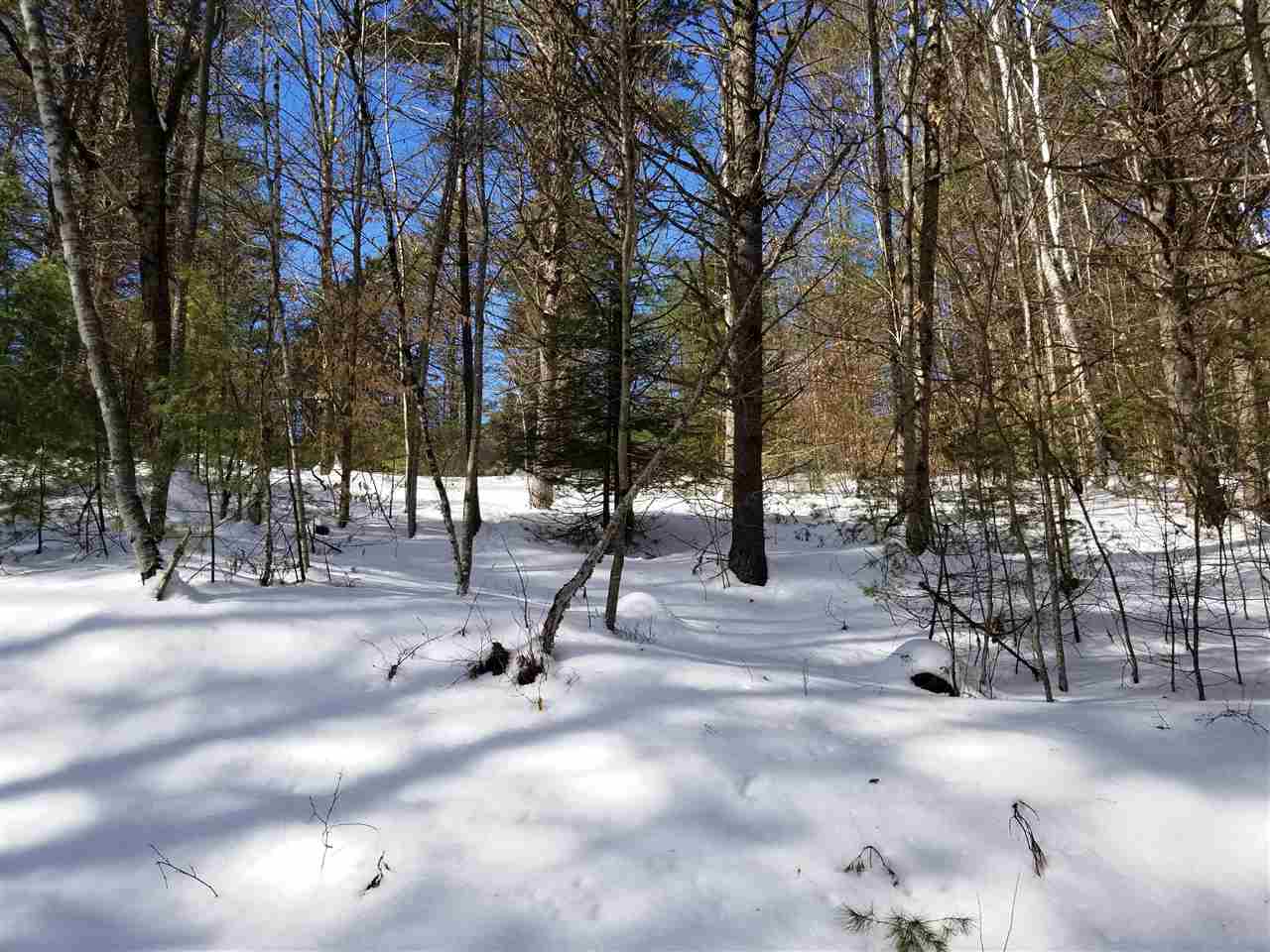 0 Ridge Road, Unit 77 Lyman, NH 03585 - Photo 27 of 28