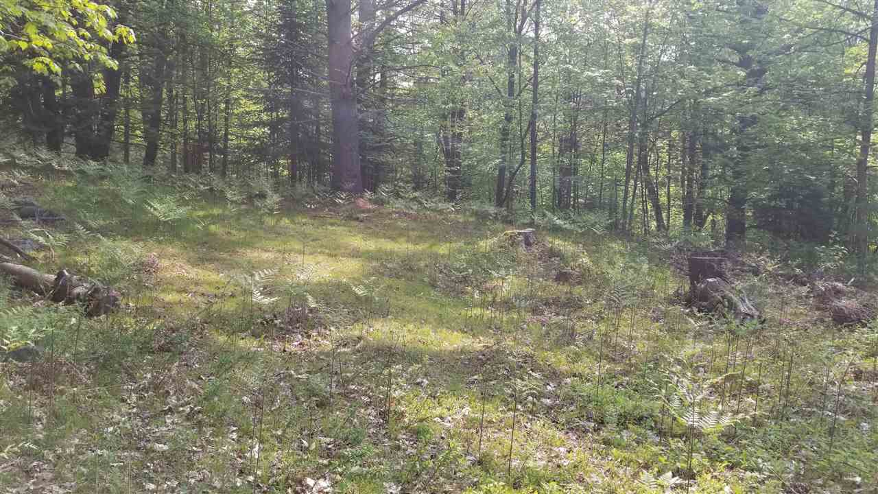 0 Ridge Road, Unit 77 Lyman, NH 03585 - Photo 4 of 28