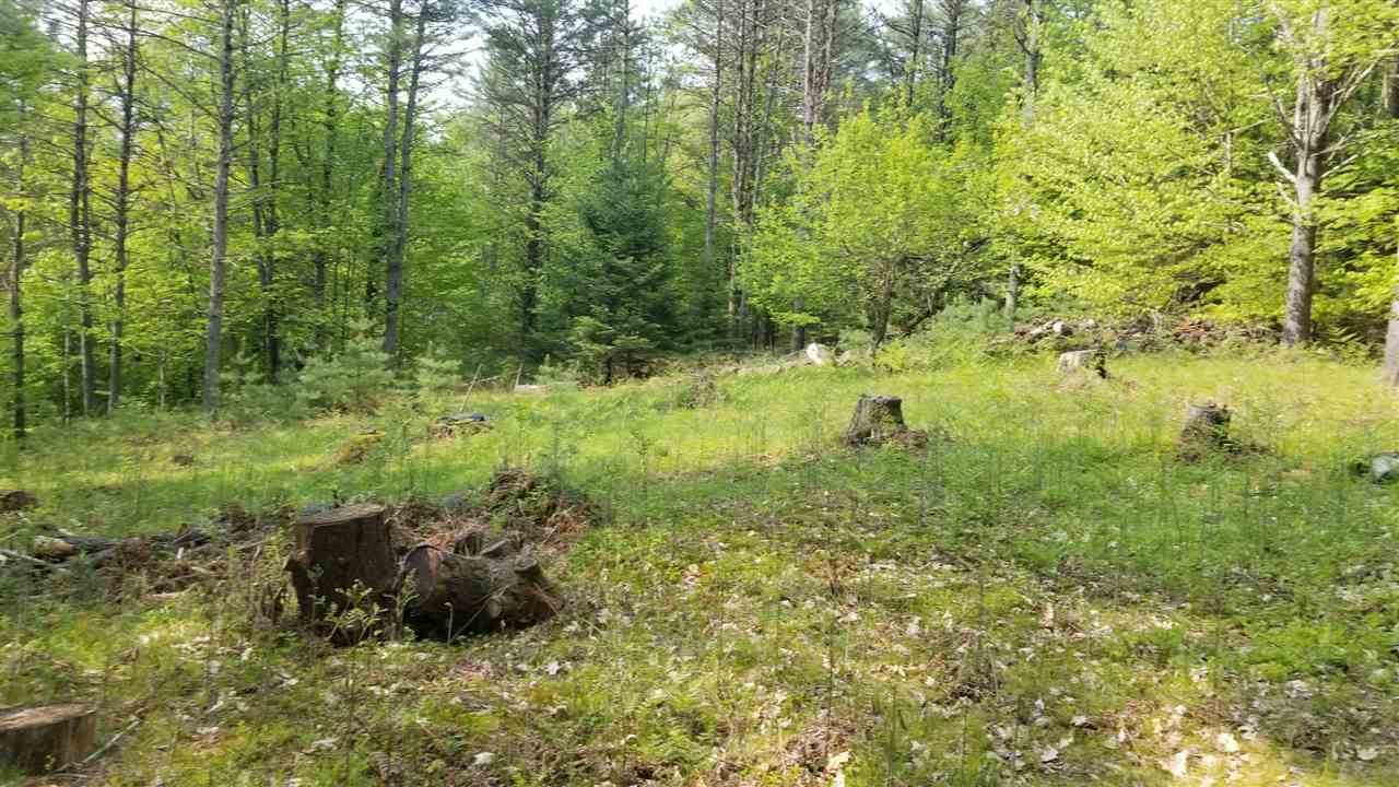 0 Ridge Road, Unit 77 Lyman, NH 03585 - Photo 6 of 28