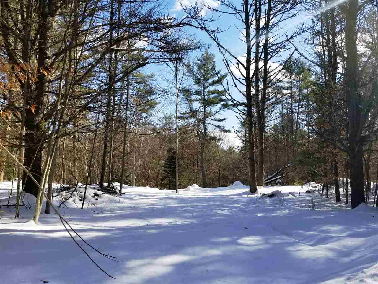 0 Ridge Road, Unit 77 Lyman, NH 03585 - Photo 9 of 28