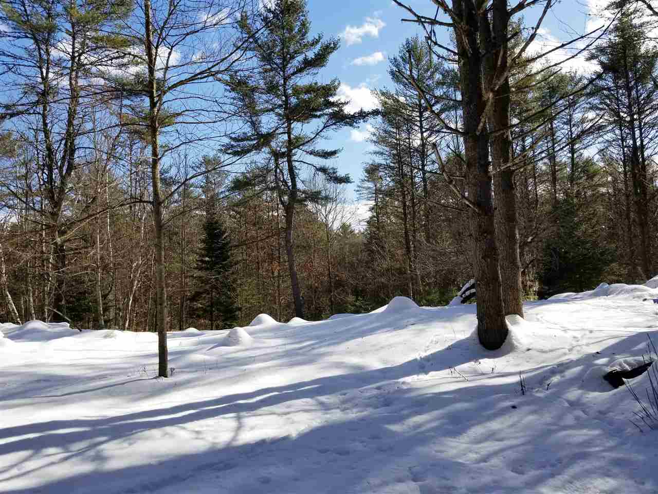 0 Ridge Road, Unit 77 Lyman, NH 03585 - Photo 10 of 28
