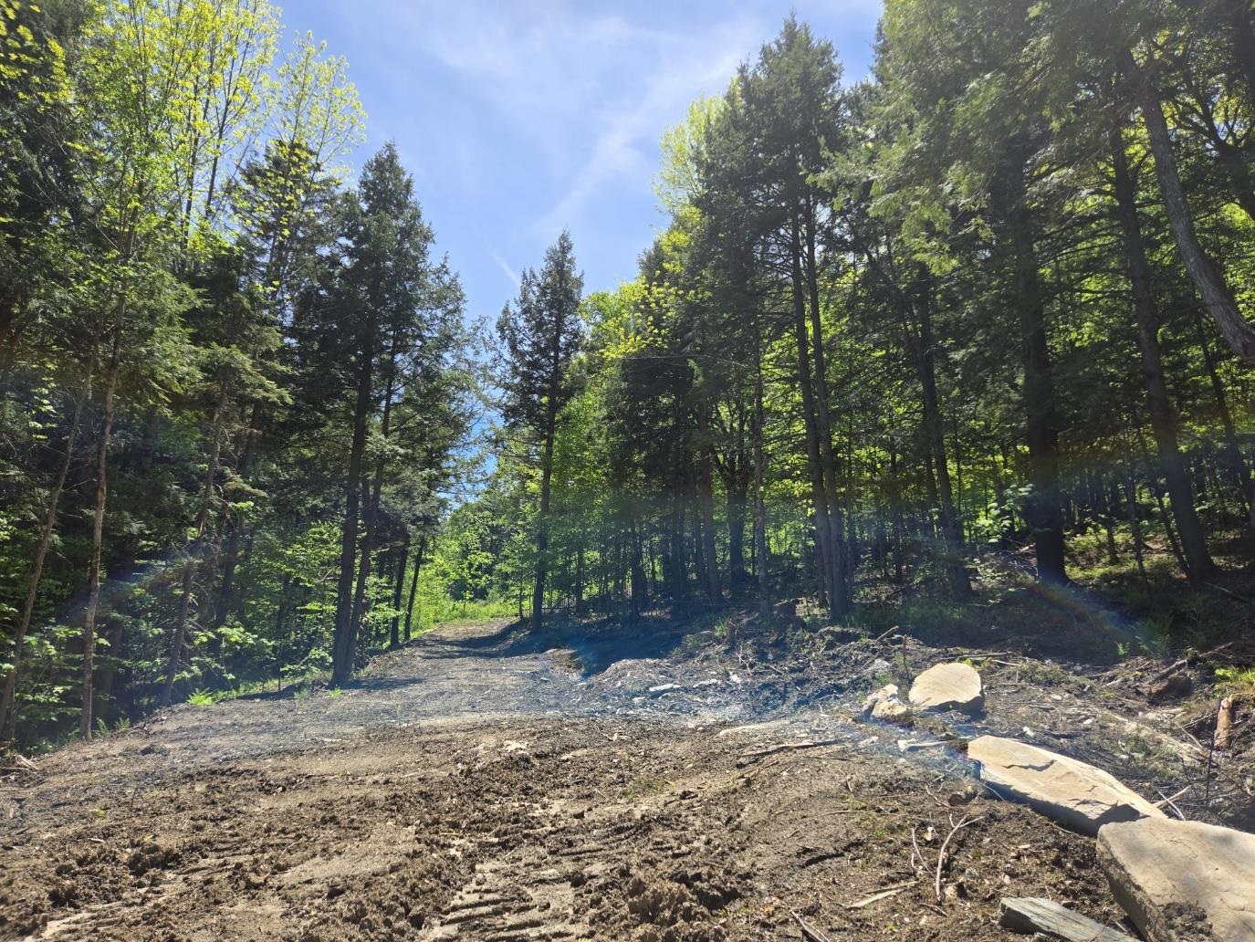 0 Vt Route, Unit LOT 2 Bethel, VT 05032 - Photo 5 of 11