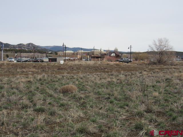 Tbd Ewing Mesa Road Durango, CO 81301 - Photo 7 of 9 a view of a field with trees in background