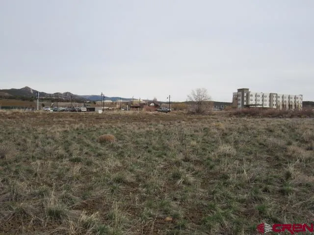 a view of a dry field with trees in background