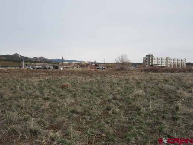 Tbd Ewing Mesa Road Durango, CO 81301 - Photo 8 of 9 a view of a dry field with trees in background