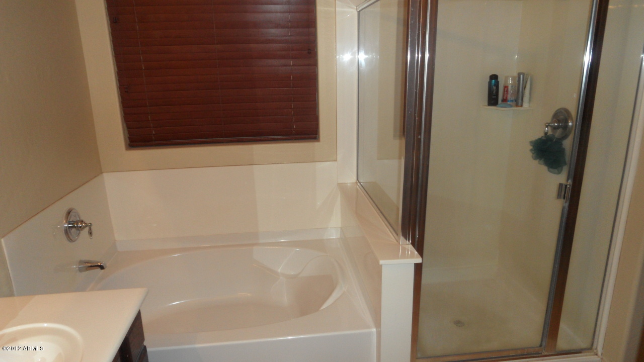 45298 Portabello Road Maricopa, AZ 85139 - Photo 18 of 30 Master Bath - Tub - Shower 2