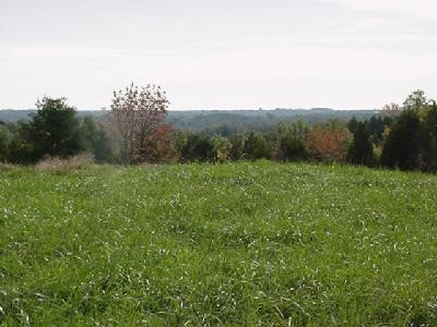 4270 Liberty Ridge Road Falmouth, KY 41040 - Photo 1 of 3 Gallery Image 1