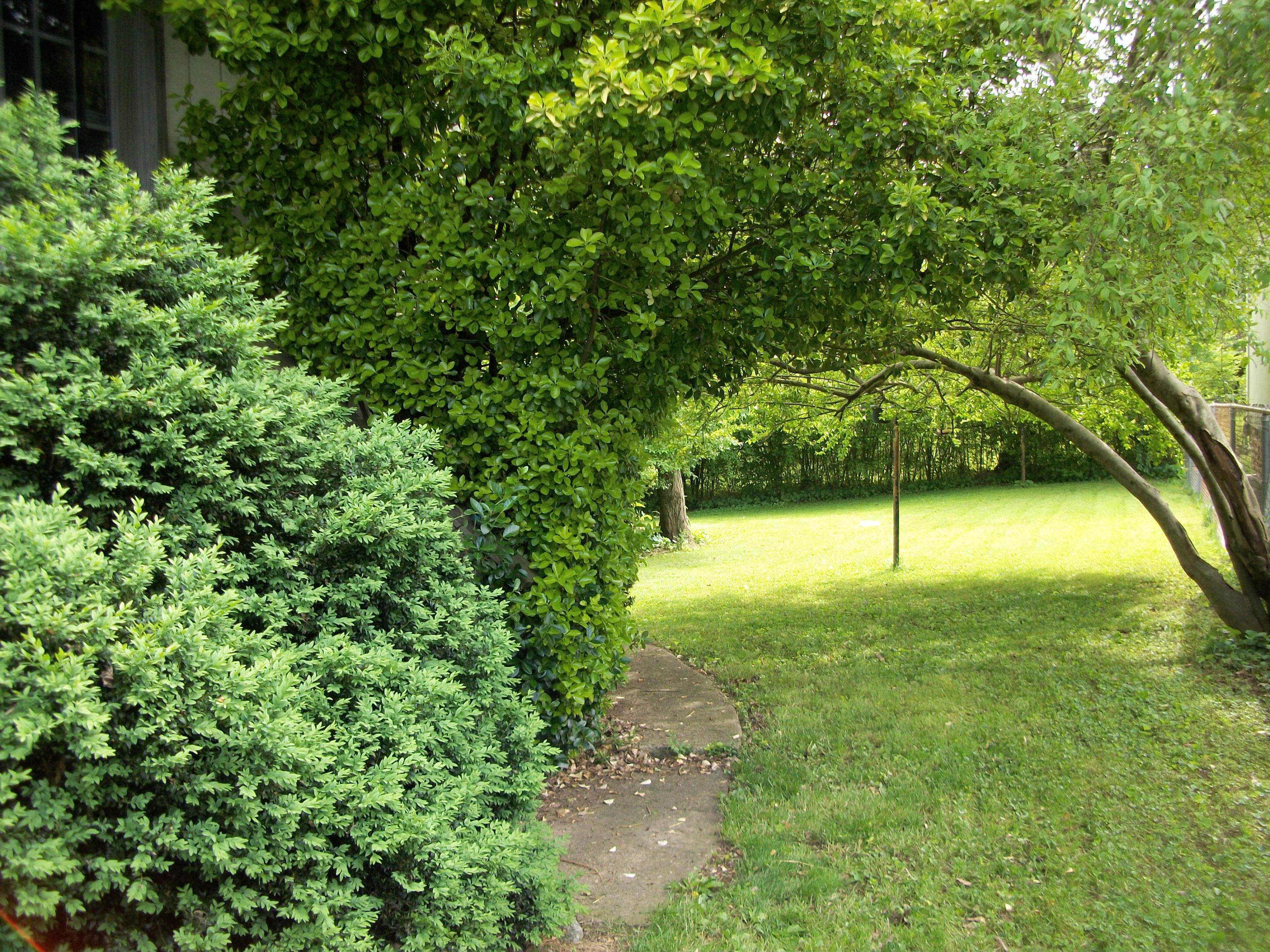 7805 Castlecomb Road Powell, TN 37849 - Photo 18 of 19 Path to Backyard
