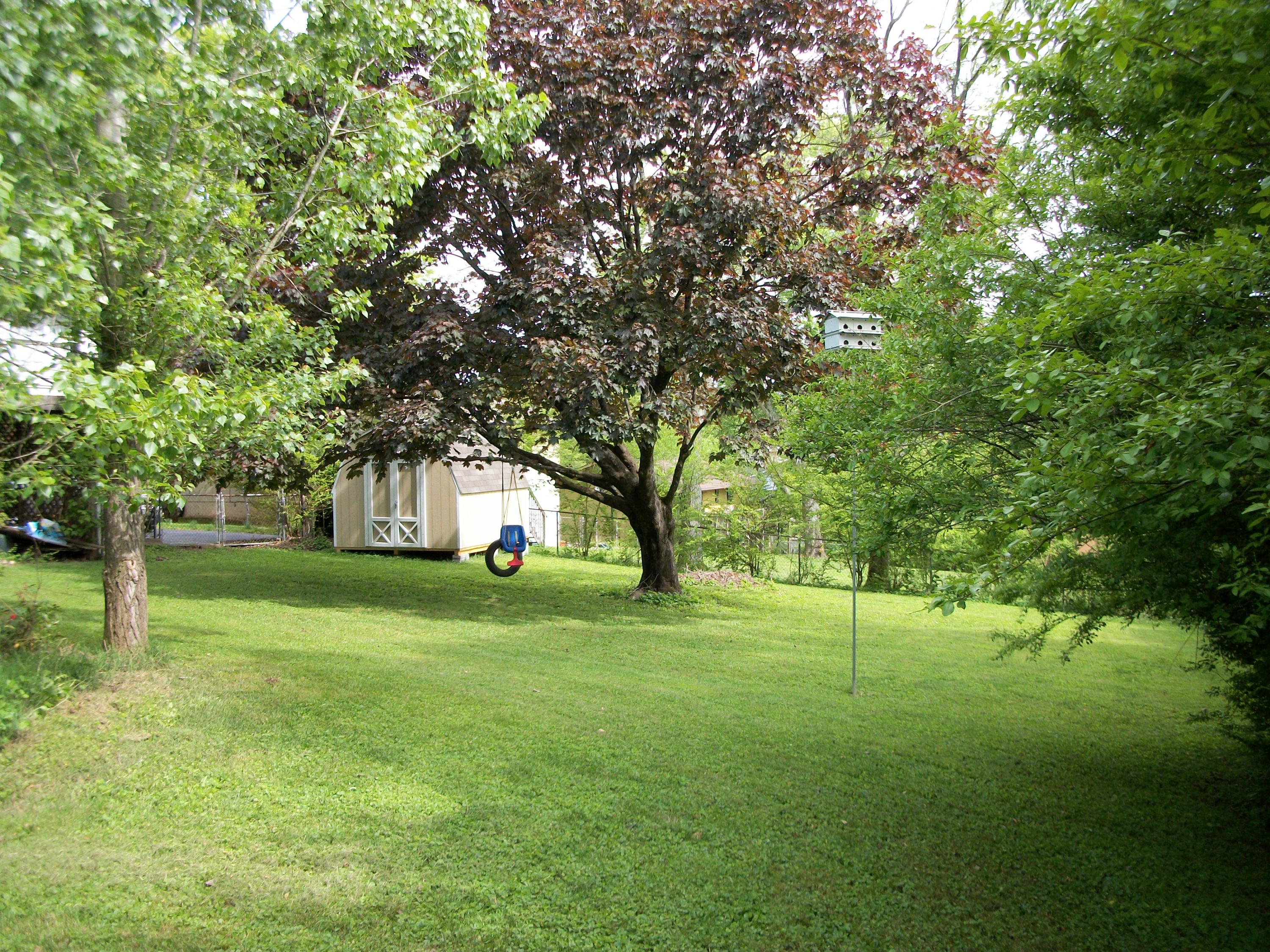 7805 Castlecomb Road Powell, TN 37849 - Photo 19 of 19 Backyard