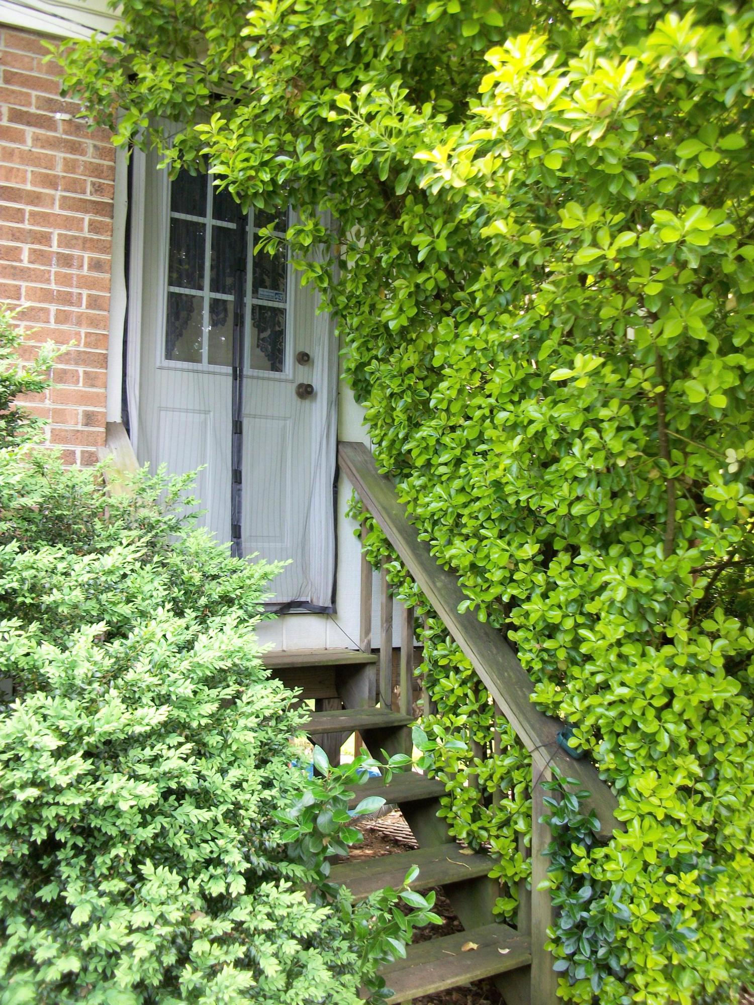 7805 Castlecomb Road Powell, TN 37849 - Photo 4 of 19 Side Entry