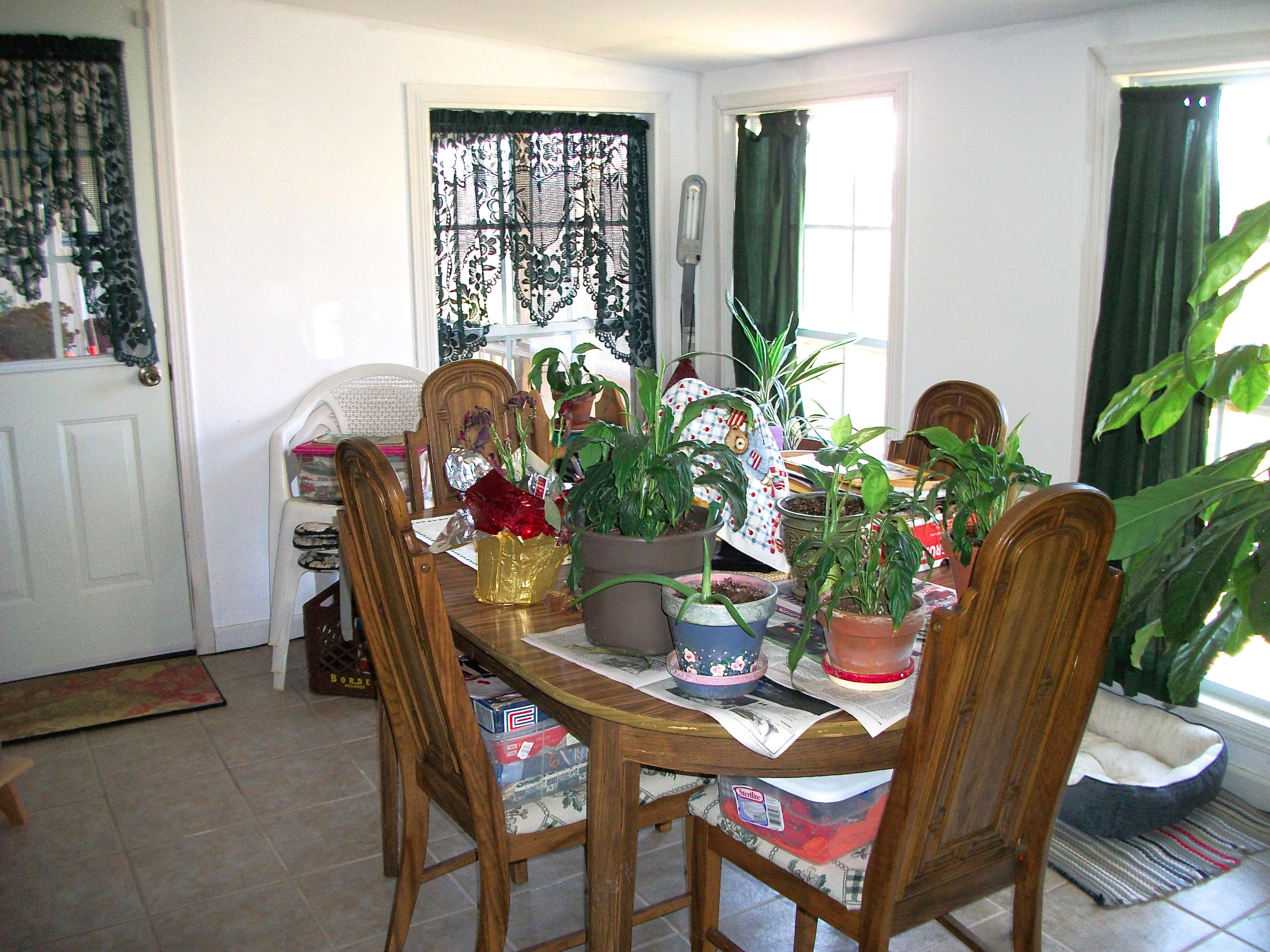 7805 Castlecomb Road Powell, TN 37849 - Photo 10 of 19 Sunroom
