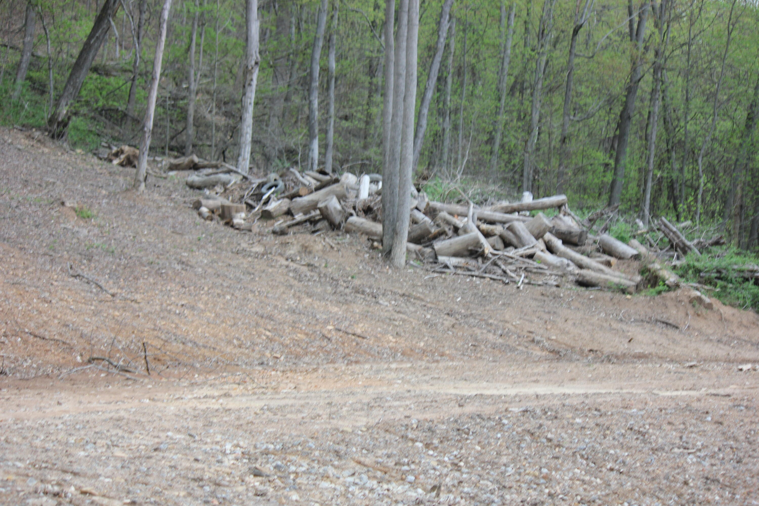 0 Routt Road Wallingford, KY 41093 - Photo 4 of 14 IMG_9415