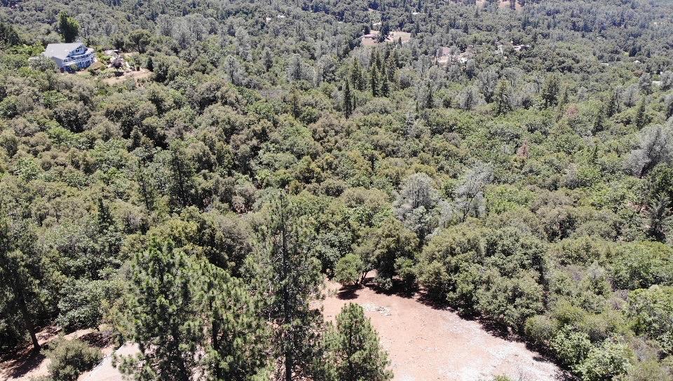 0 Bowman Road Pine Grove, CA 95665 - Photo 20 of 30