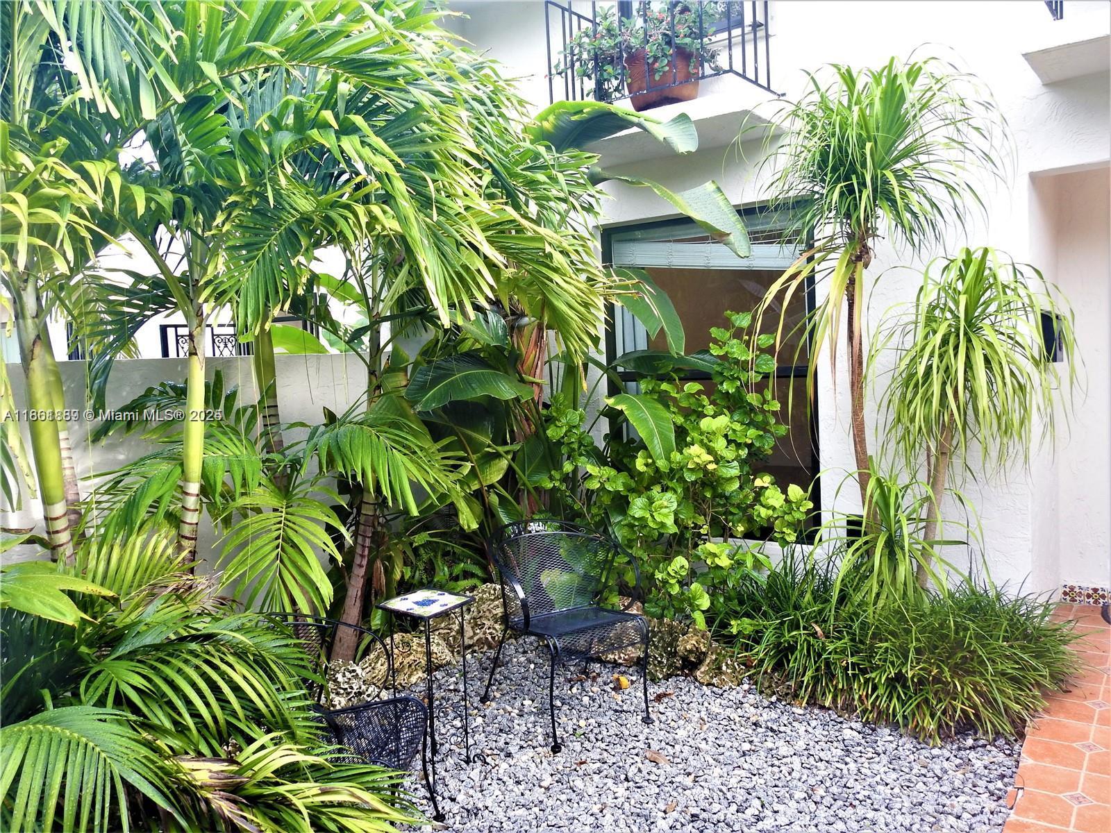 9807 Southwest 93rd Street, Unit 9807 Miami, FL 33176 - Photo 3 of 50 a close up of a plant in a garden