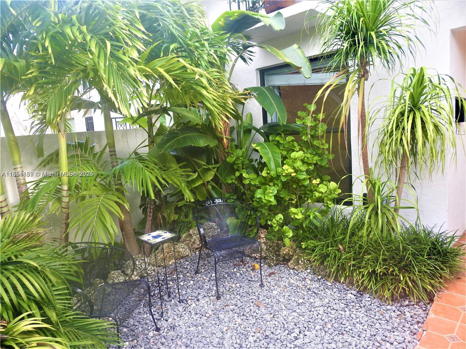 9807 Southwest 93rd Street, Unit 9807 Miami, FL 33176 - Photo 7 of 50 a view of a plant in a garden