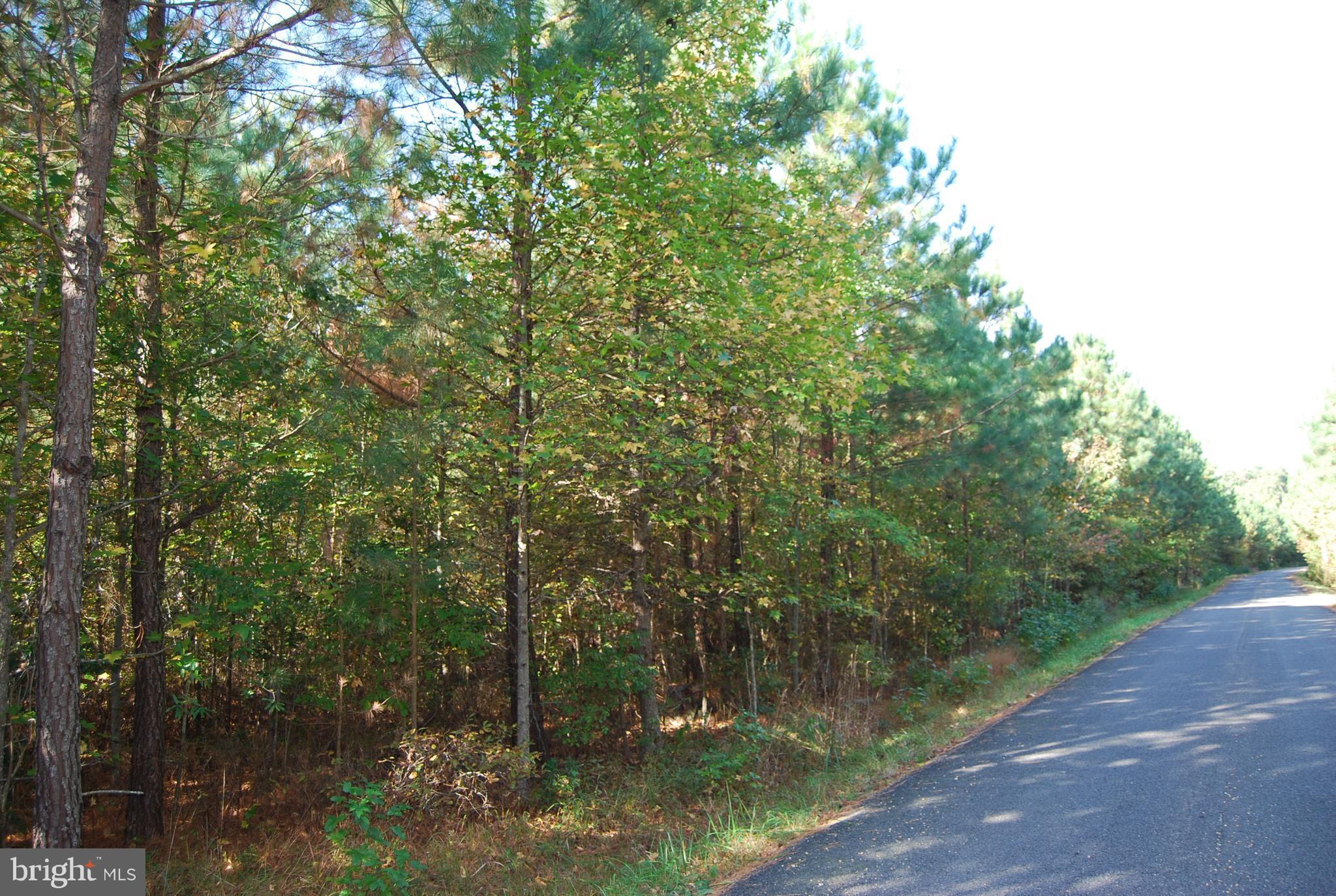 Boarman Road Newburg, MD 20664 - Photo 3 of 6 View