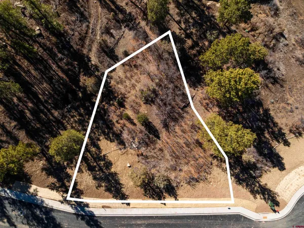 a view of a yard with a pathway