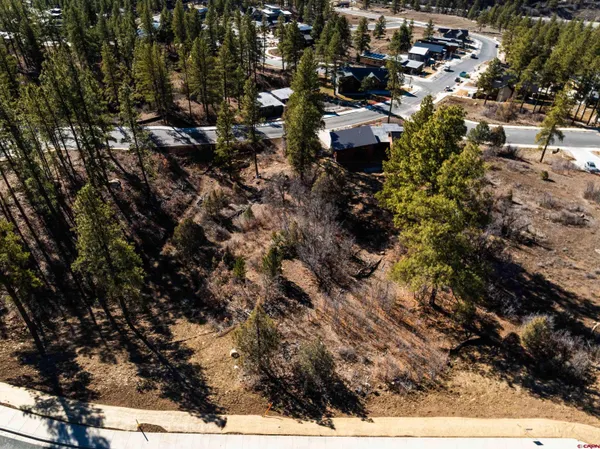 a view of a forest with trees