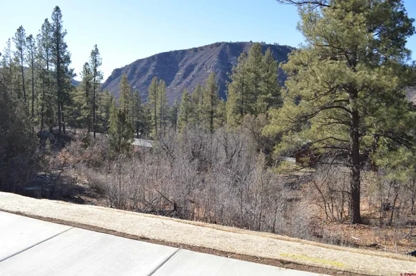 $325,000 | 77 Winterberry Court, Durango, CO 81301