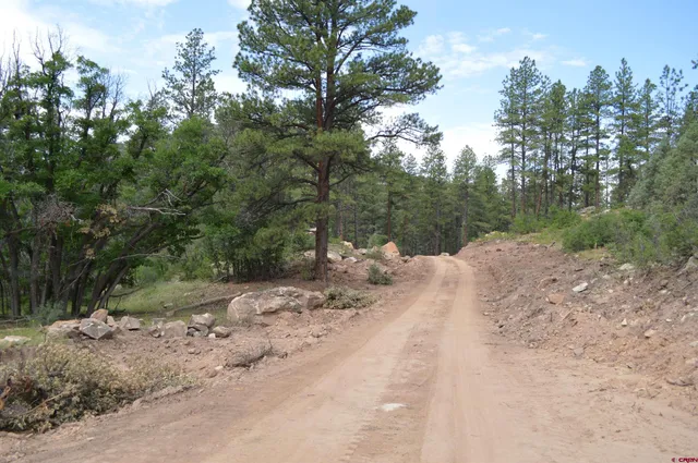 a view of a road with trees