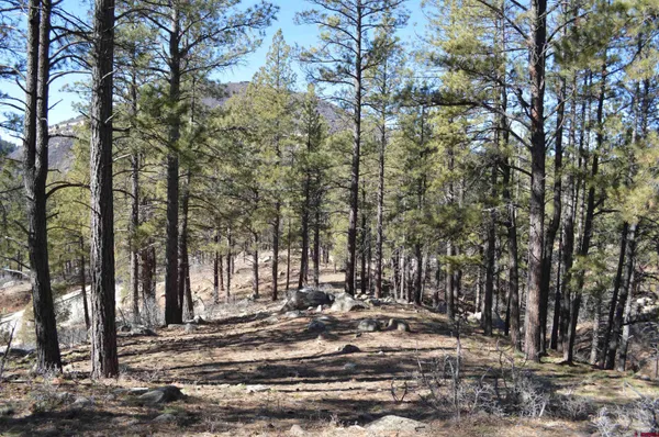 $325,000 | 77 Winterberry Court, Durango, CO 81301