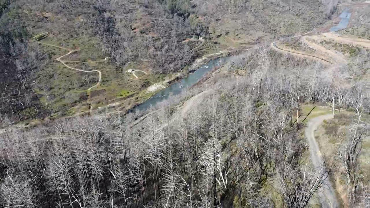 1720 River View Lane Colfax, CA 95713 - Photo 11 of 32 a view of a forest with lots of trees