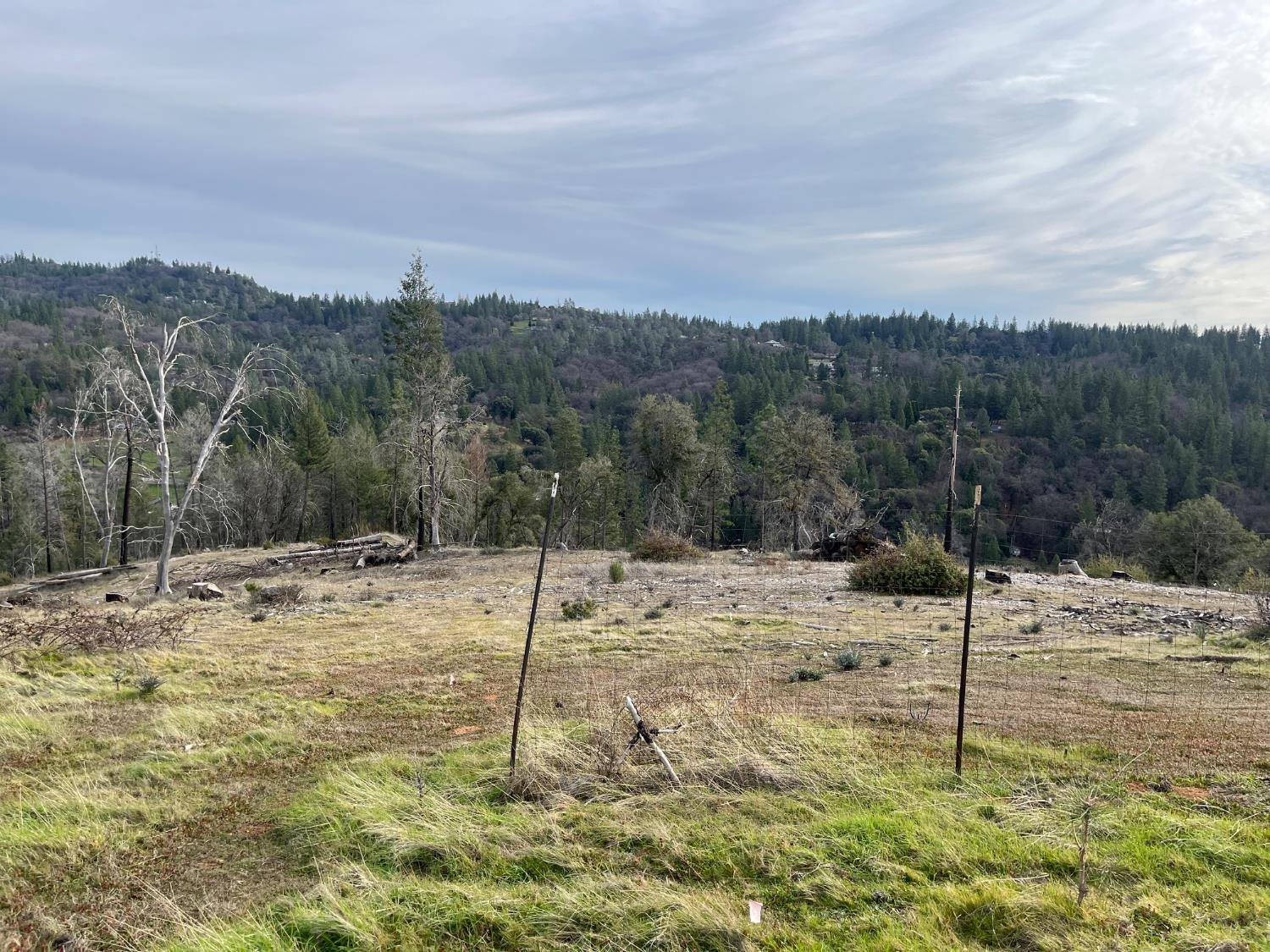 1720 River View Lane Colfax, CA 95713 - Photo 23 of 32 a view of a backyard of the house