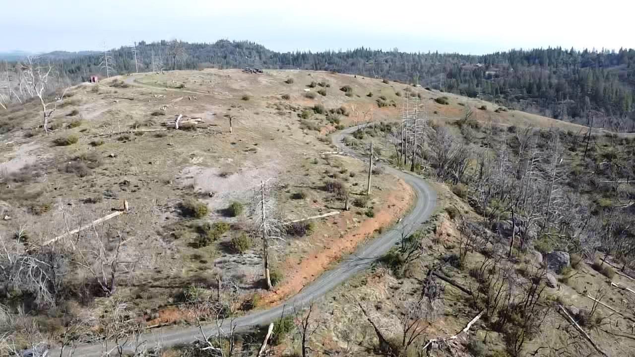 1720 River View Lane Colfax, CA 95713 - Photo 10 of 32