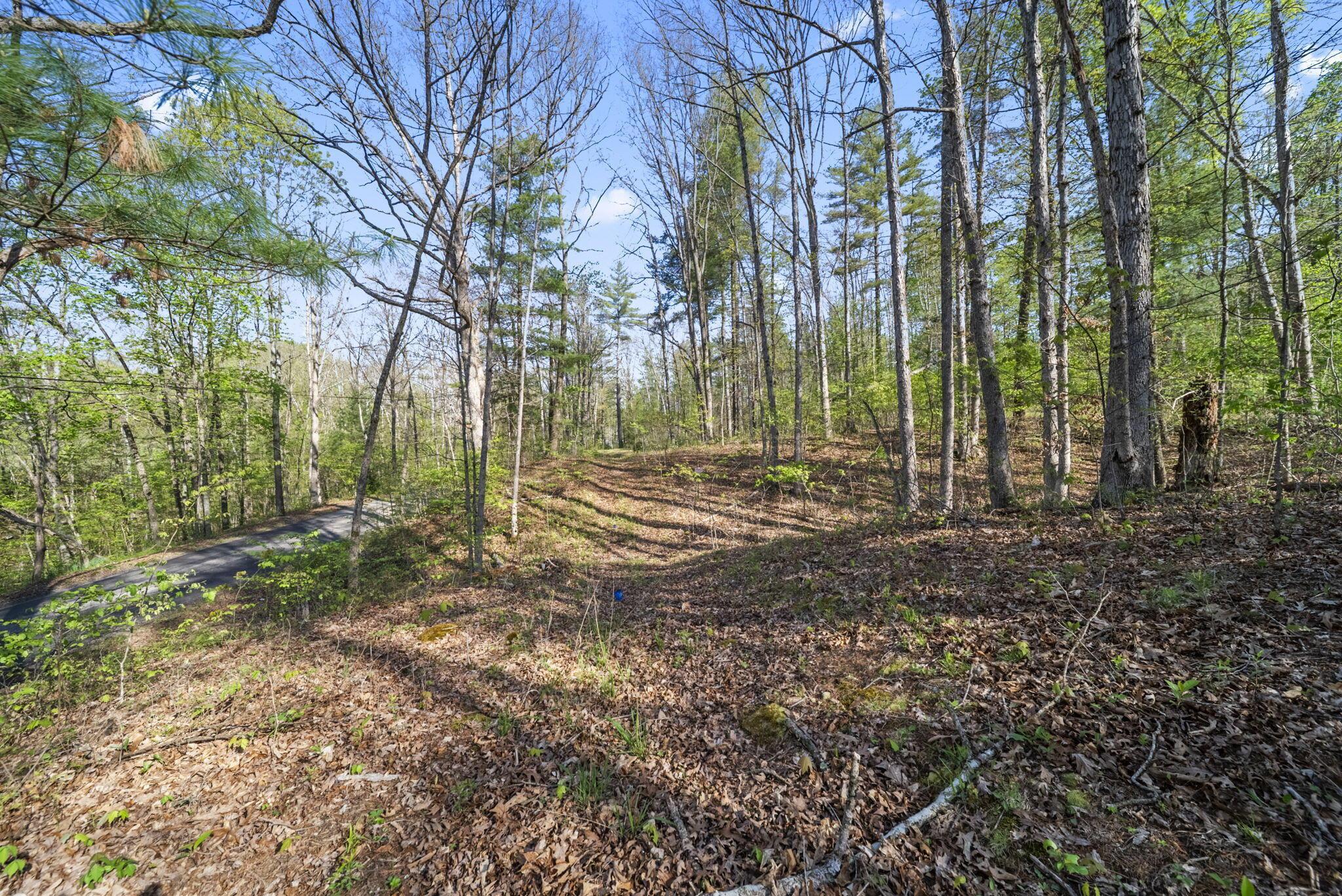 1588 Debord Road Chillicothe, OH 45601 - Photo 5 of 33 4-web-or-mls-DSC03946