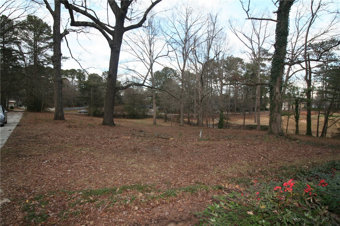 4271 Britt Road Tucker, GA 30084 - Photo 5 of 22 Gallery Image 5