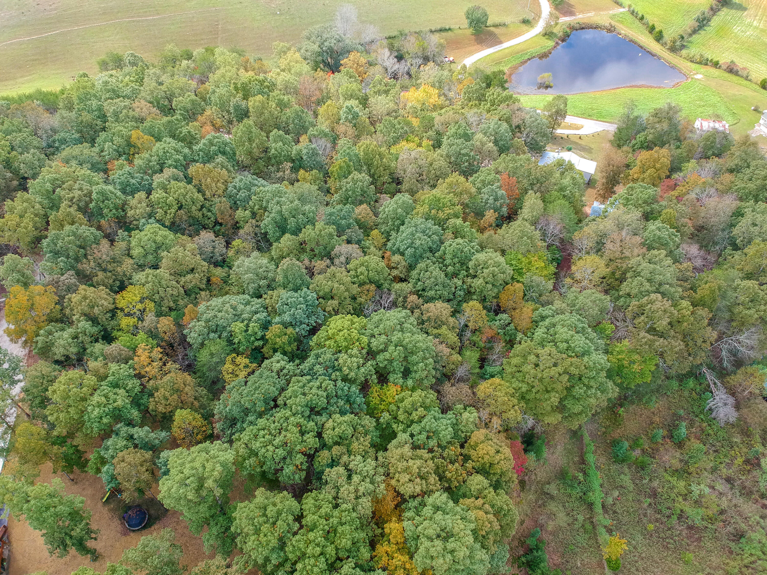 826 Herman Smith Road Pikeville, TN 37367 - Photo 47 of 57 826 Herman Smith Rd-47