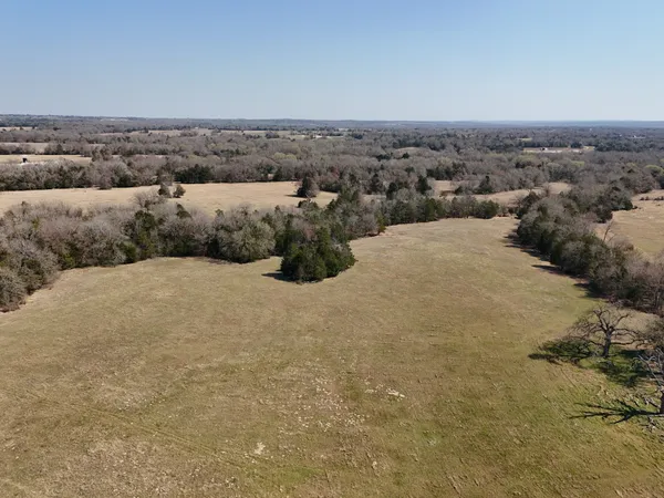 a view of a big yard of a house