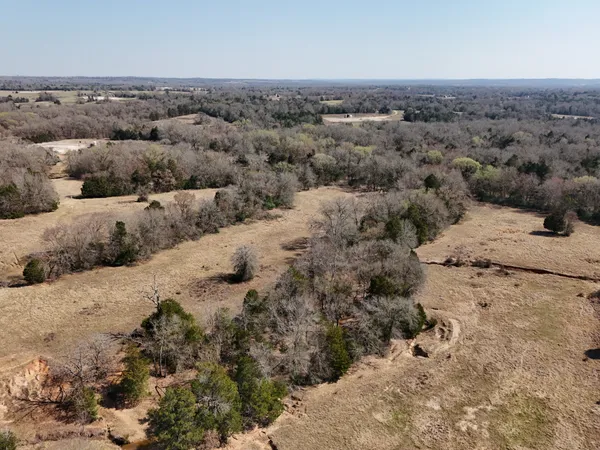 a view of a dry yard
