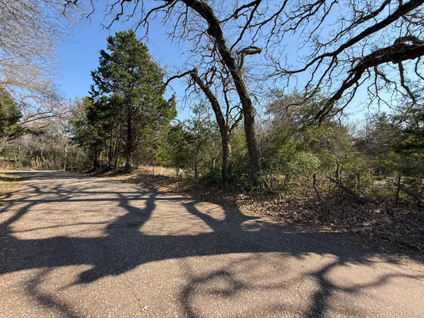 a view of a yard with an trees