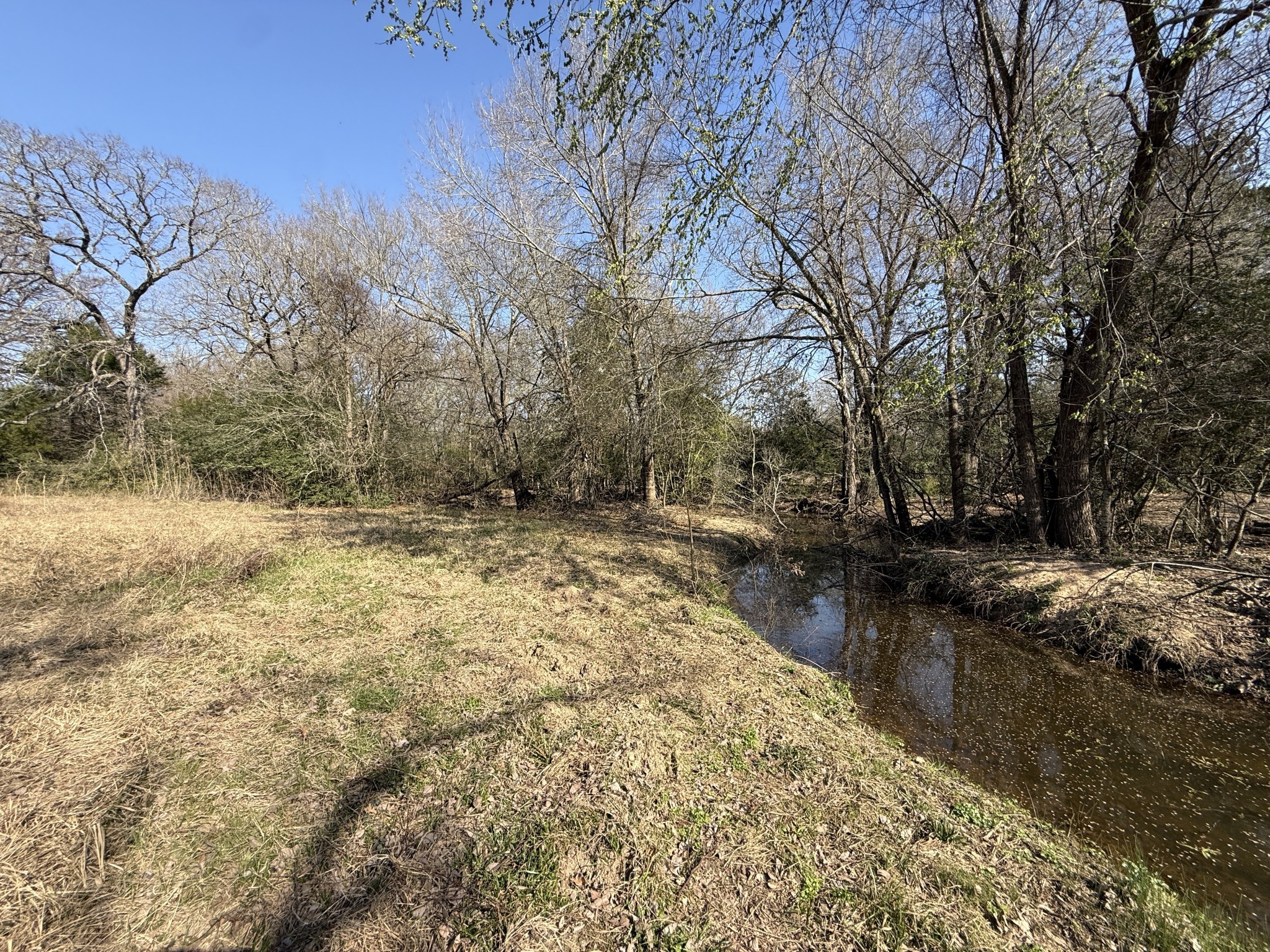 3 Fcr 510 Fairfield, TX 75840 - Photo 22 of 45 a view of a yard with trees