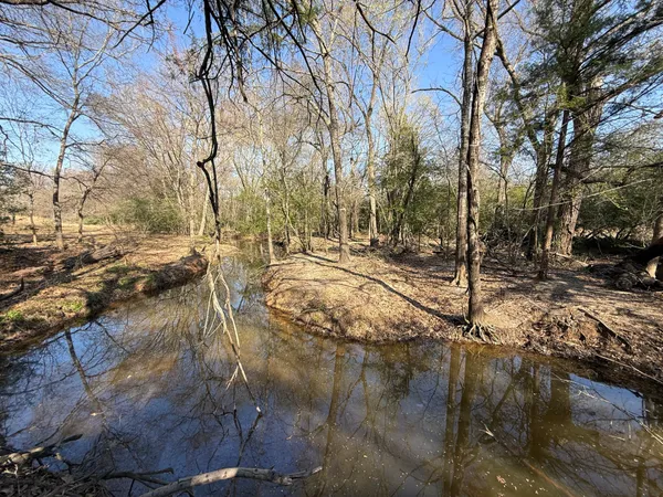 a view of a field with lots of bushes