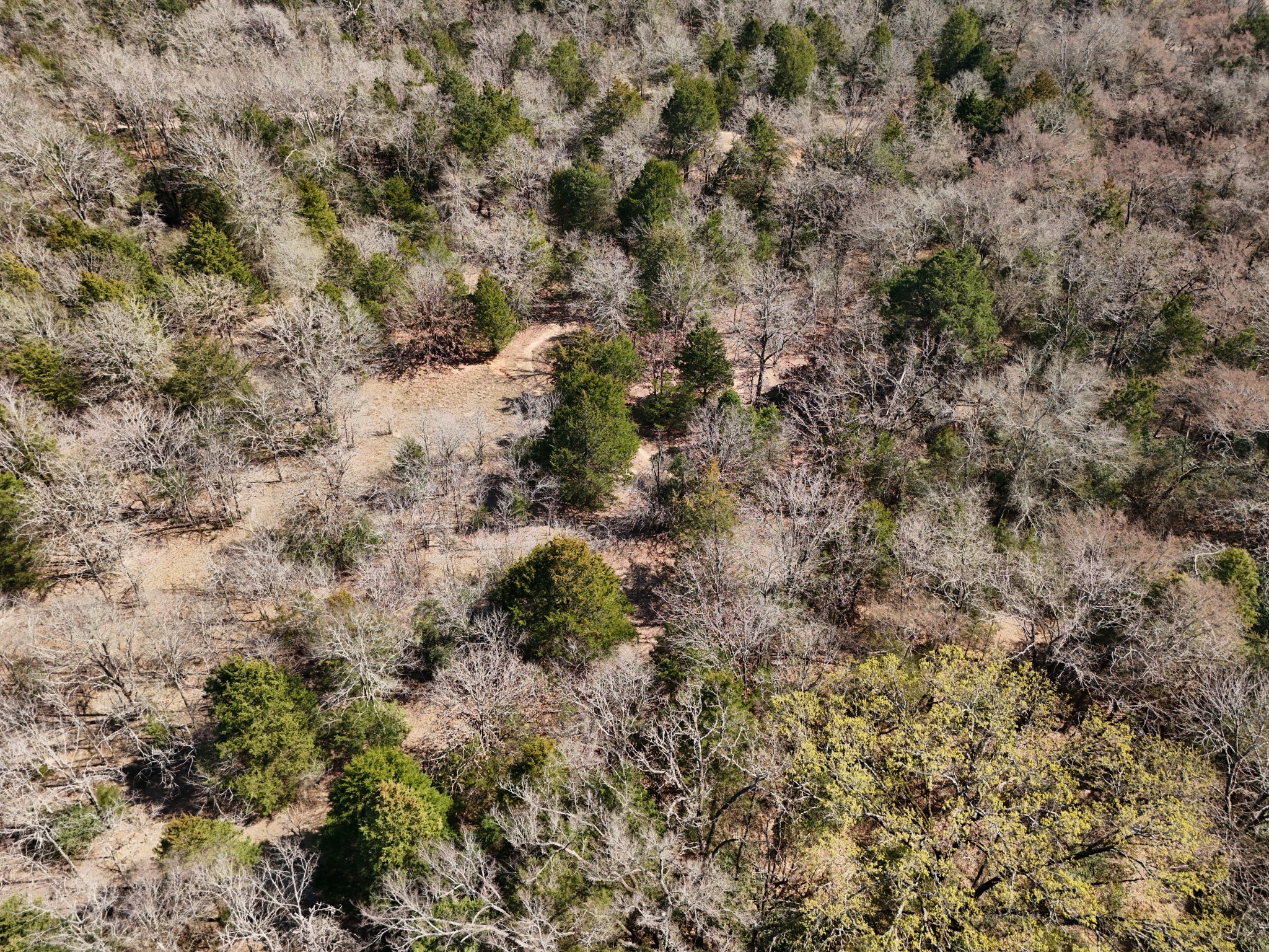 3 Fcr 510 Fairfield, TX 75840 - Photo 24 of 45 a view of a field with lots of bushes