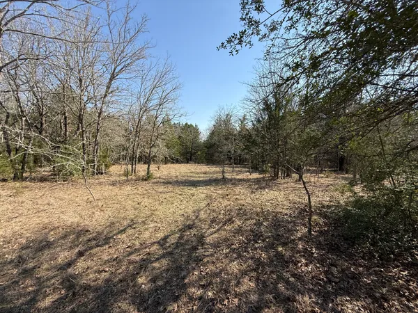 a view of dirt yard with a tree