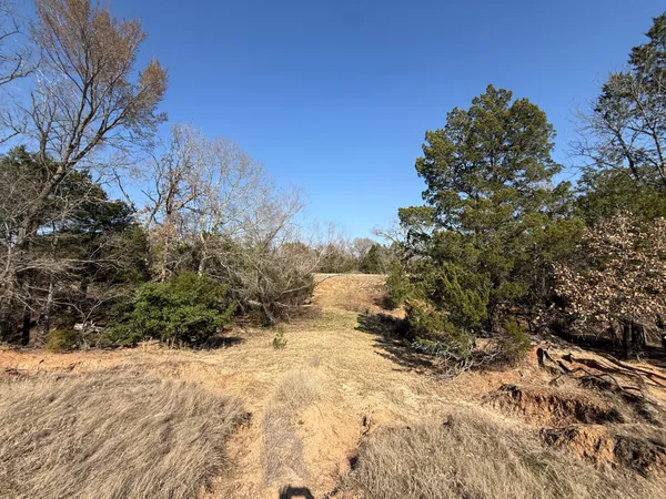 a view of a yard with trees