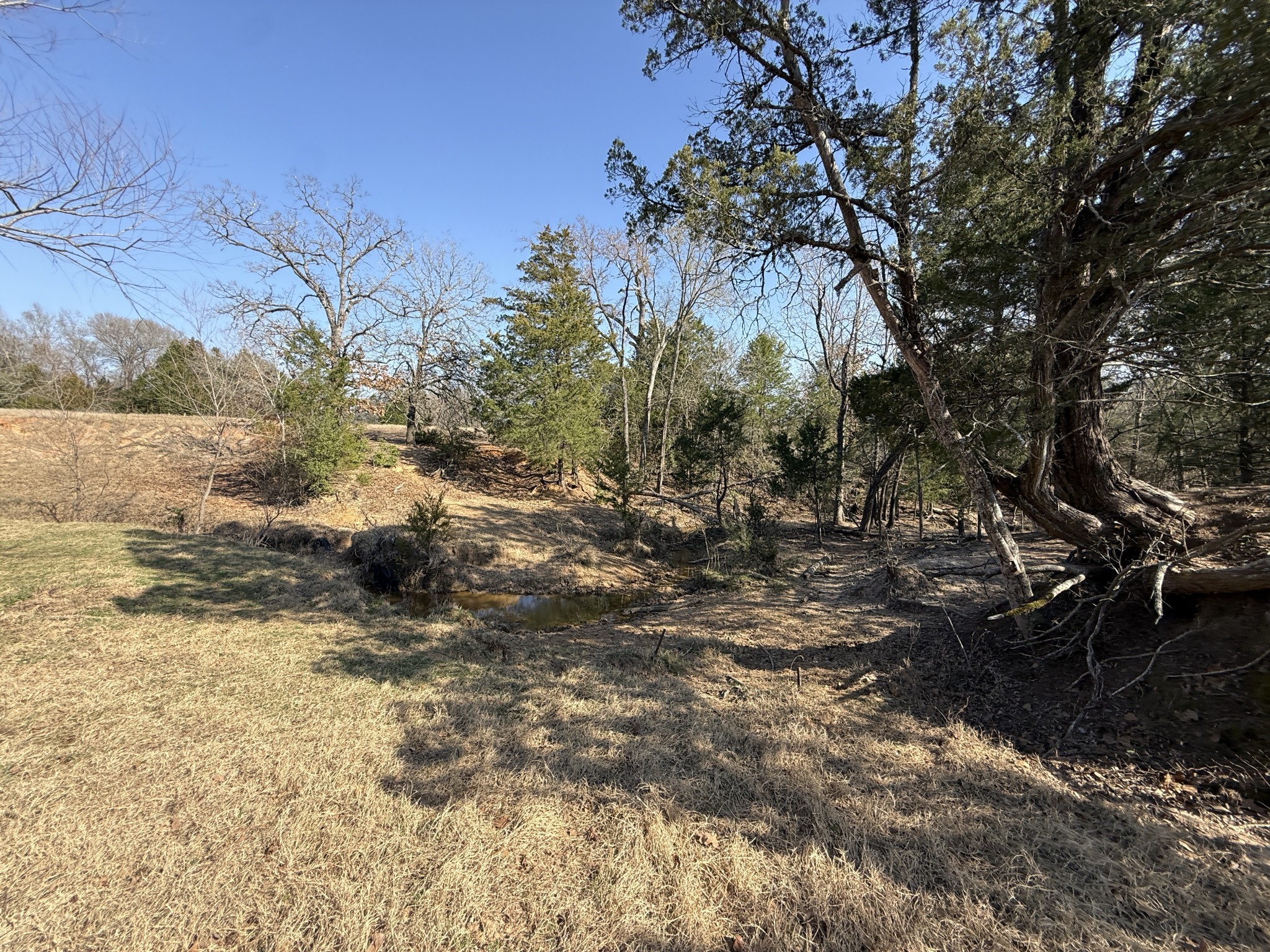 3 Fcr 510 Fairfield, TX 75840 - Photo 33 of 45 a view of a yard with trees
